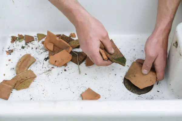 Acer pot display - adding crocks