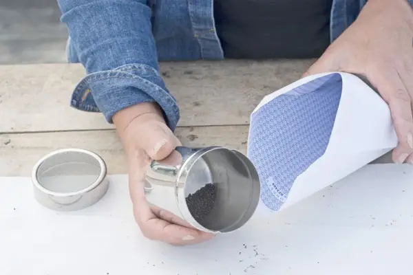 Tipping the seed into an envelope