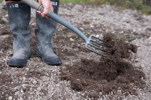 Forking over the soil