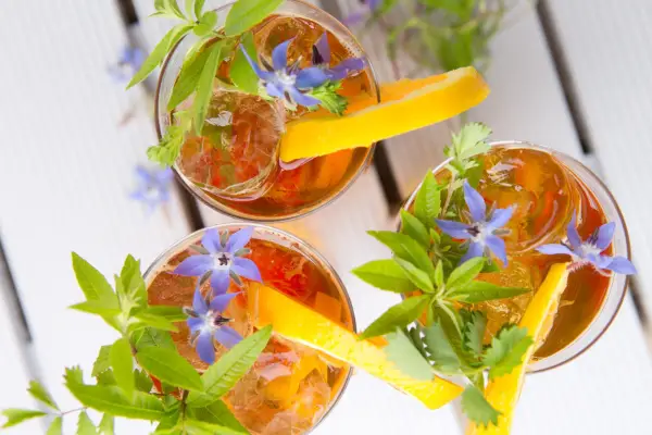 How to grow borage - how to use borage