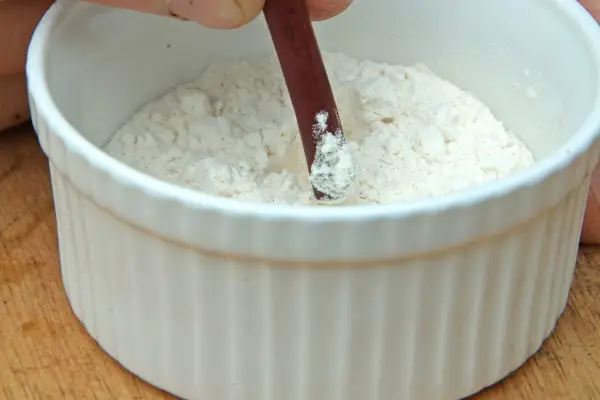 Dipping the cutting into rooting hormone