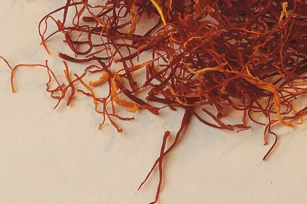 Drying the saffron strands