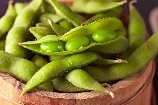 Como cultivar soja (edamame)