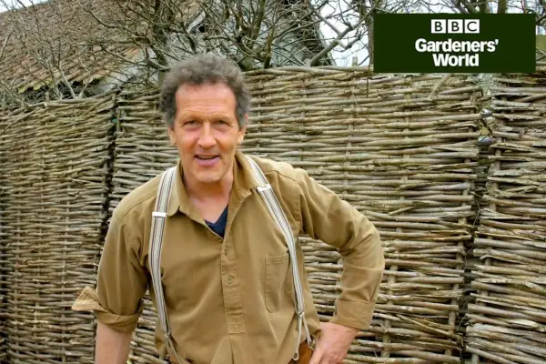 헤이즐 울타리를 만드는 방법