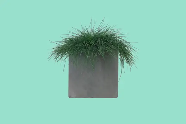 Crocus Square Box Contemporary Grey Light Concrete Planter
