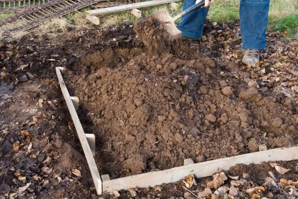 How to make a strawberry bed - timber placed in trench