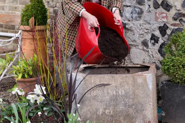 Reduce your carbon footprint - use peat-free compost