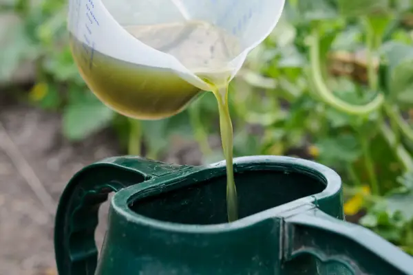 Reduce your carbon footprint - make your own fertiliser