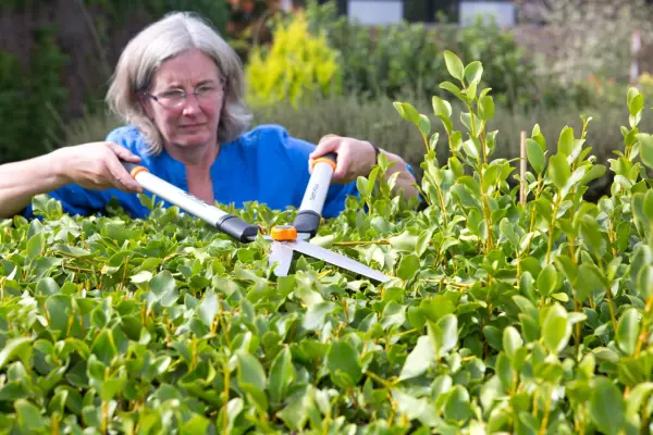 Reduce your carbon footprint - use hand tools