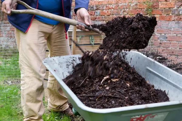 Five reasons to feed your soil