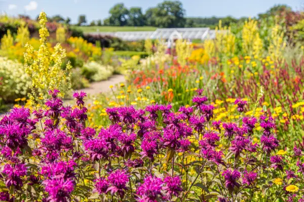 Obtenez le look - Helmsley Walled Garden