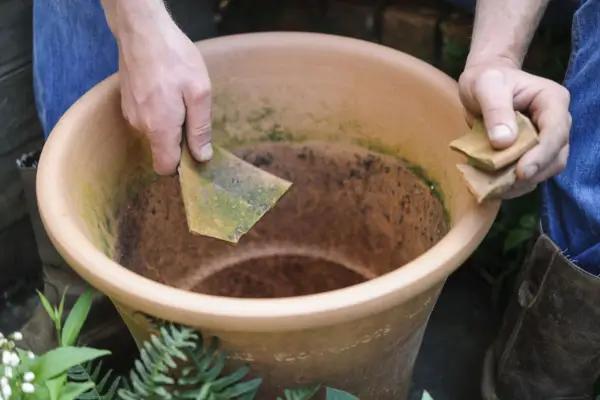 Hosta and fern pot display - adding crocks