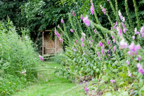תשעה טיפים לעיצוב גן