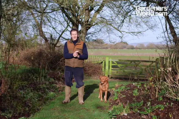 Abonnent eksklusiv: videoturné i Longmeadow