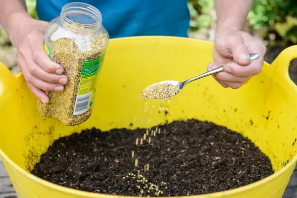 Adding slow-release fertiliser to compost