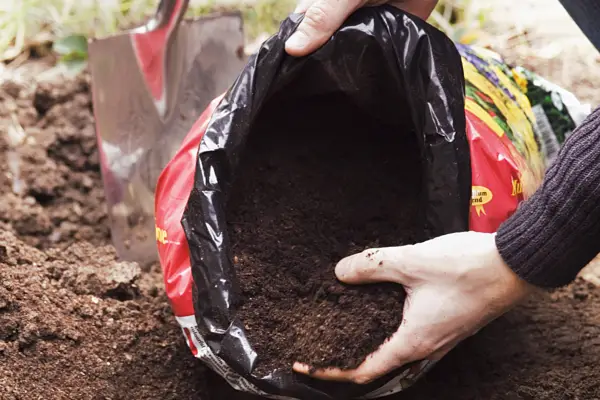 Adding compost to the planting hole