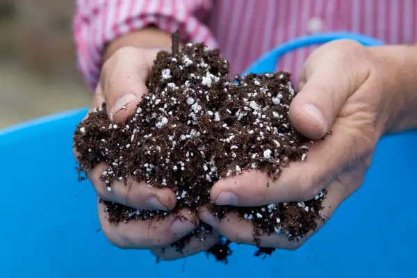 Compost with added perlite