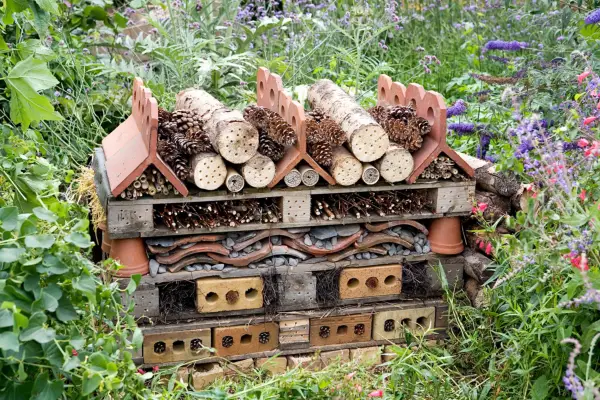 Thrifty tips - using pallets to make a bug hotel