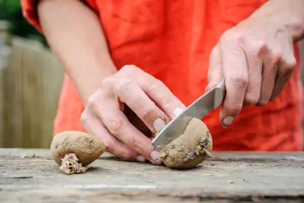 Thrifty tips - cutting potatoes in half