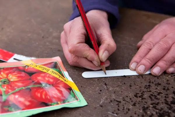Thrifty tips - using a pencil to mark plant labels