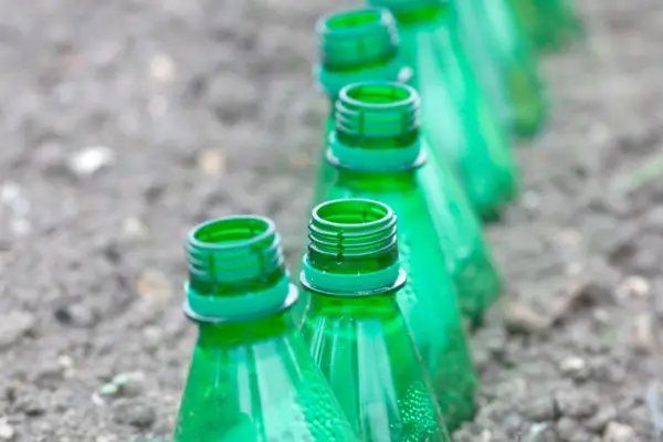 Thrifty tips - using bottle cloches