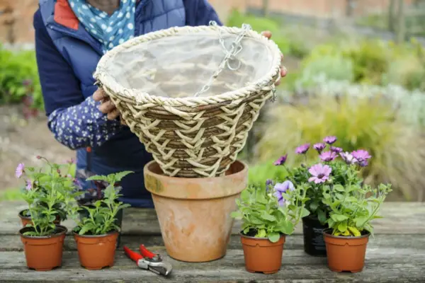 Hanging basket in a pot