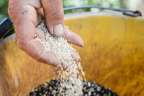 Adding horticultural grit to a compost mix