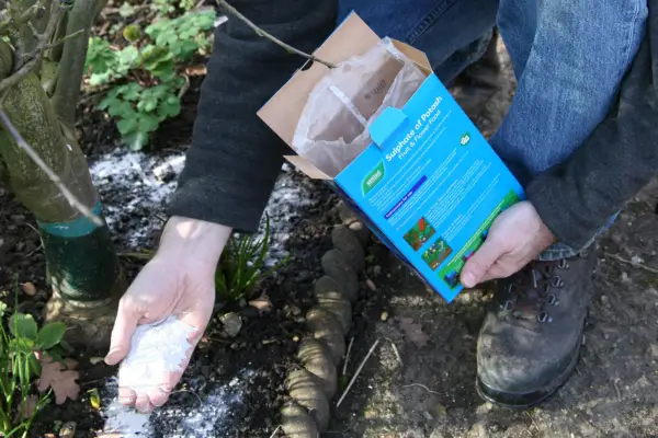 Adding sulphate of potash to feed apples