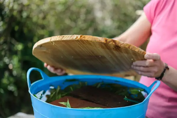 Making a potash-rich comfrey solution