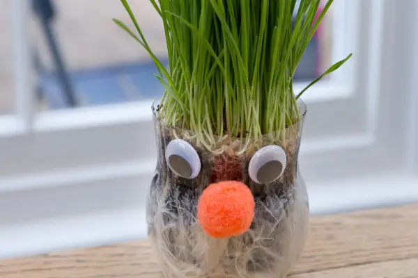 Gardening projects for kids - funny face planter