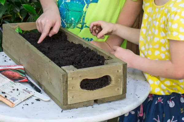 Gardening projects for kids - edible marbles