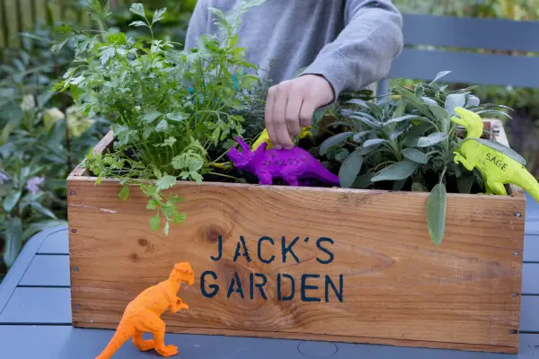 Gardening projects for kids - dinosaur herb planter