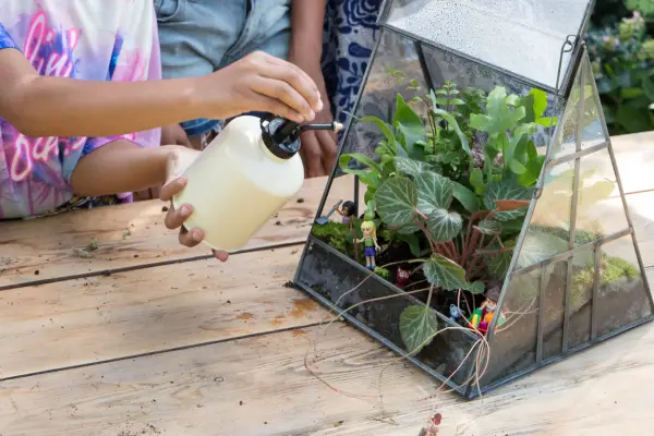 Terrarium with Lego figures