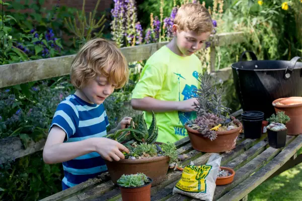 Kids planting up succulent displays