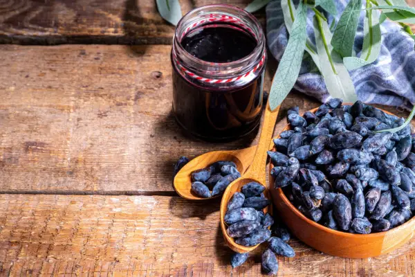 2048x1365-Lonicera-caerulea-GettyImages-1405626046