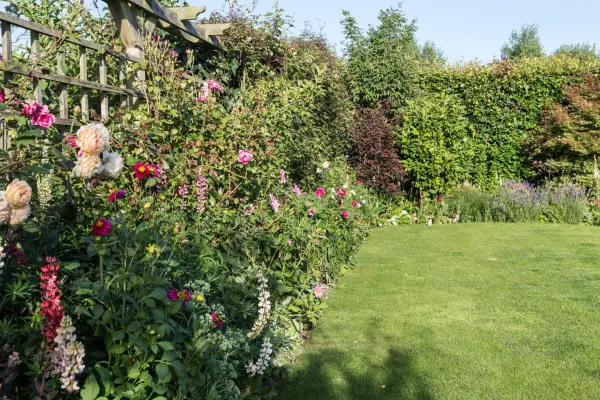 Sunlit garden border