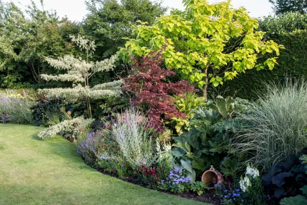 Undulating garden border planted with wildlife-friendly plants