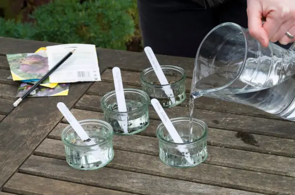 Soaking the seeds overnight