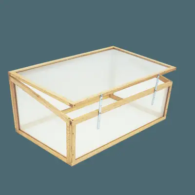 Sådan dyrkes årlige klatrere fra frø