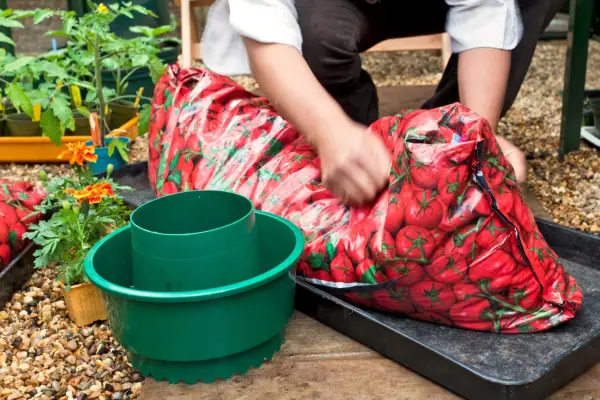 How to grow tomatoes in a growing bag - dislodging compost