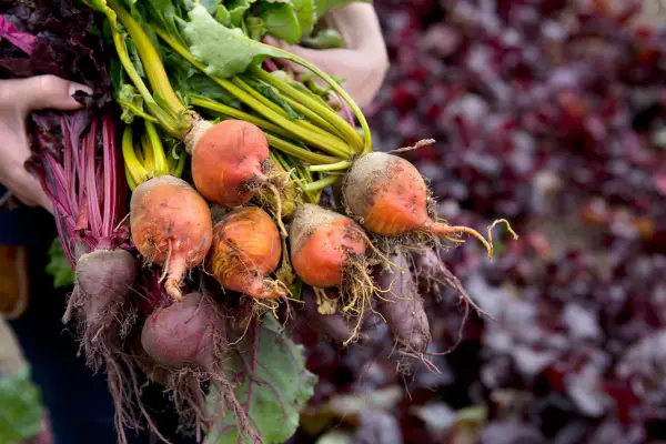 Share crops with neighbours