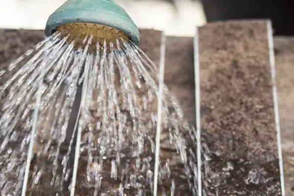 Watering the compost