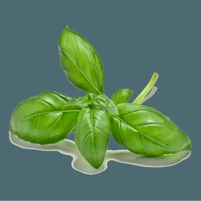 How to sow salad seeds in guttering