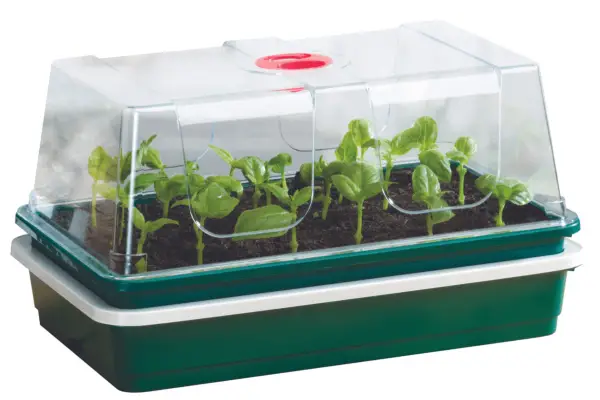 Electric Heated Propagator