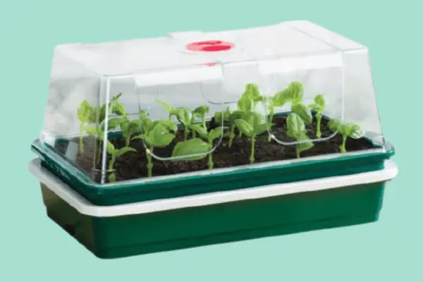 Garland One Top Electric Propagator - Verdantvows