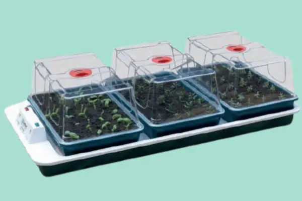 Garland Big 3 Automatic Temperature Control Electric Propagator - Verdantvows