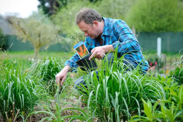Toby Buckland planting red-hot poker 