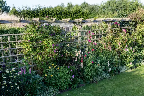Clematis and lupins. Paul Debois
