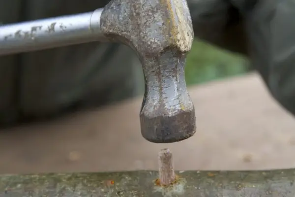 Growing mushrooms - hammering the dowels in wood
