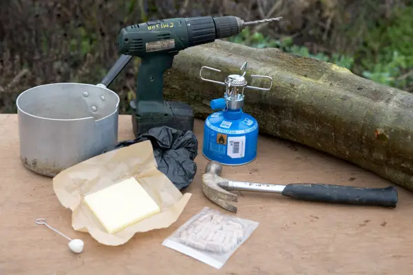 How to grow mushrooms